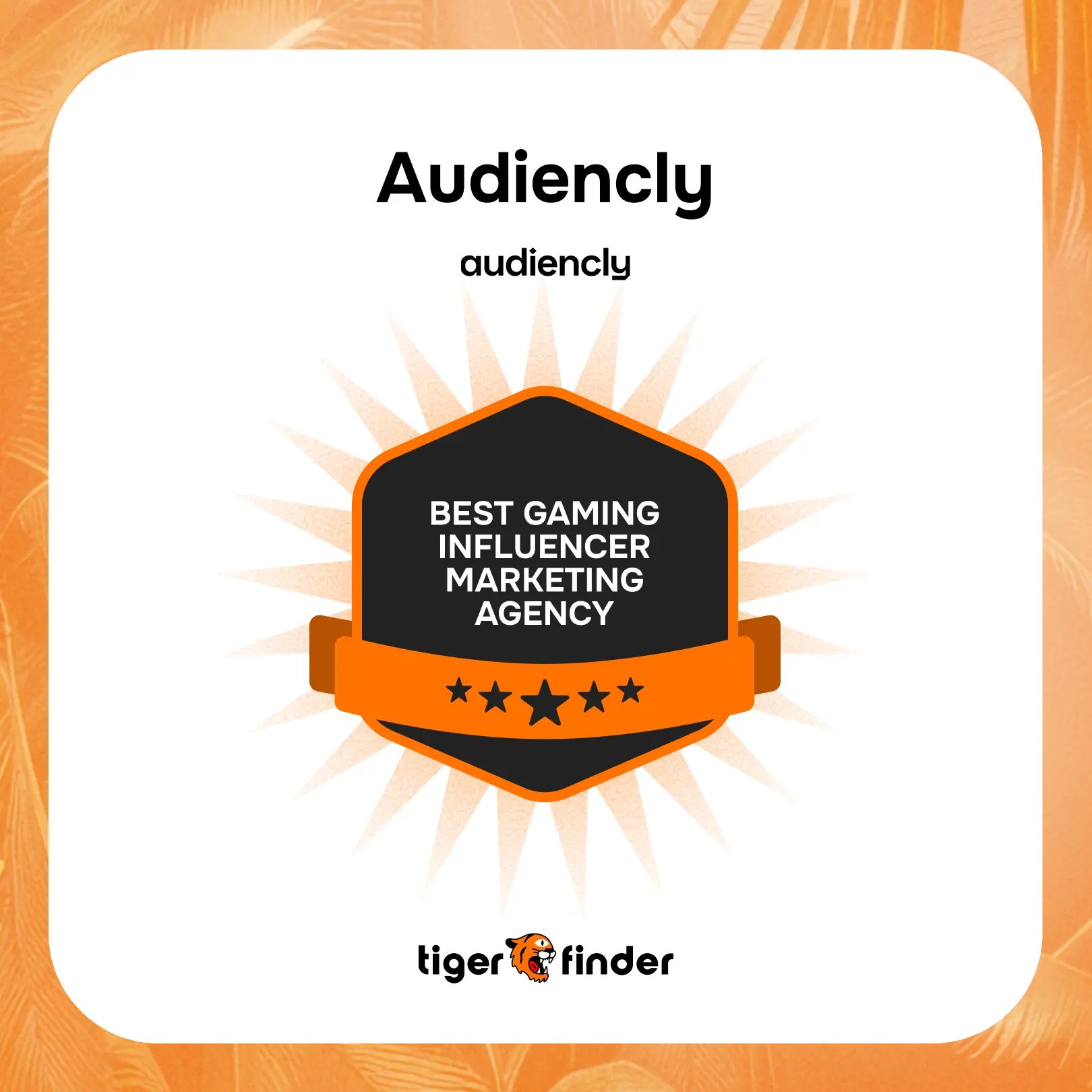 audiencly europe